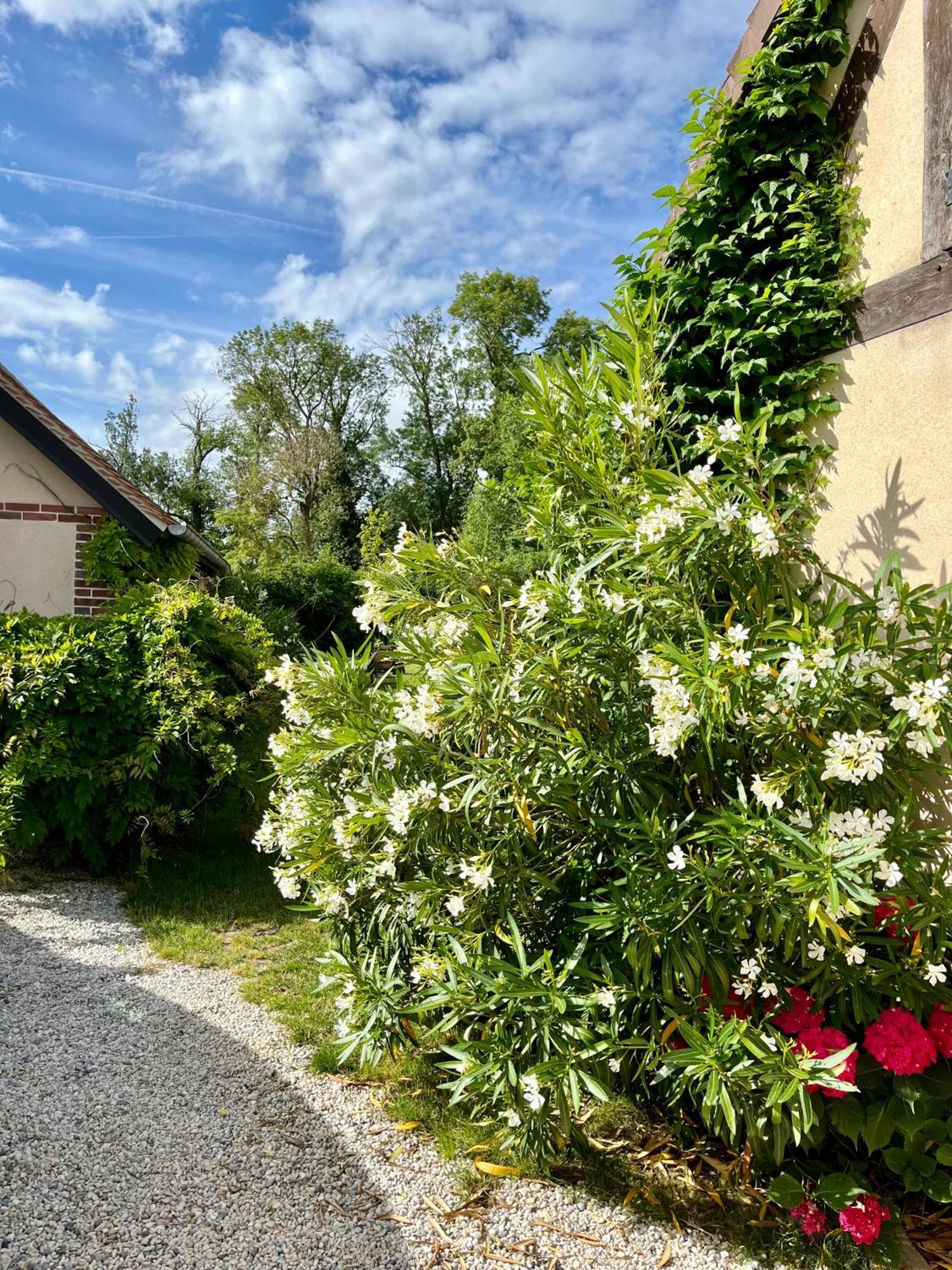 Cote Riviere Apartment Ezy-sur-Eure Exterior photo